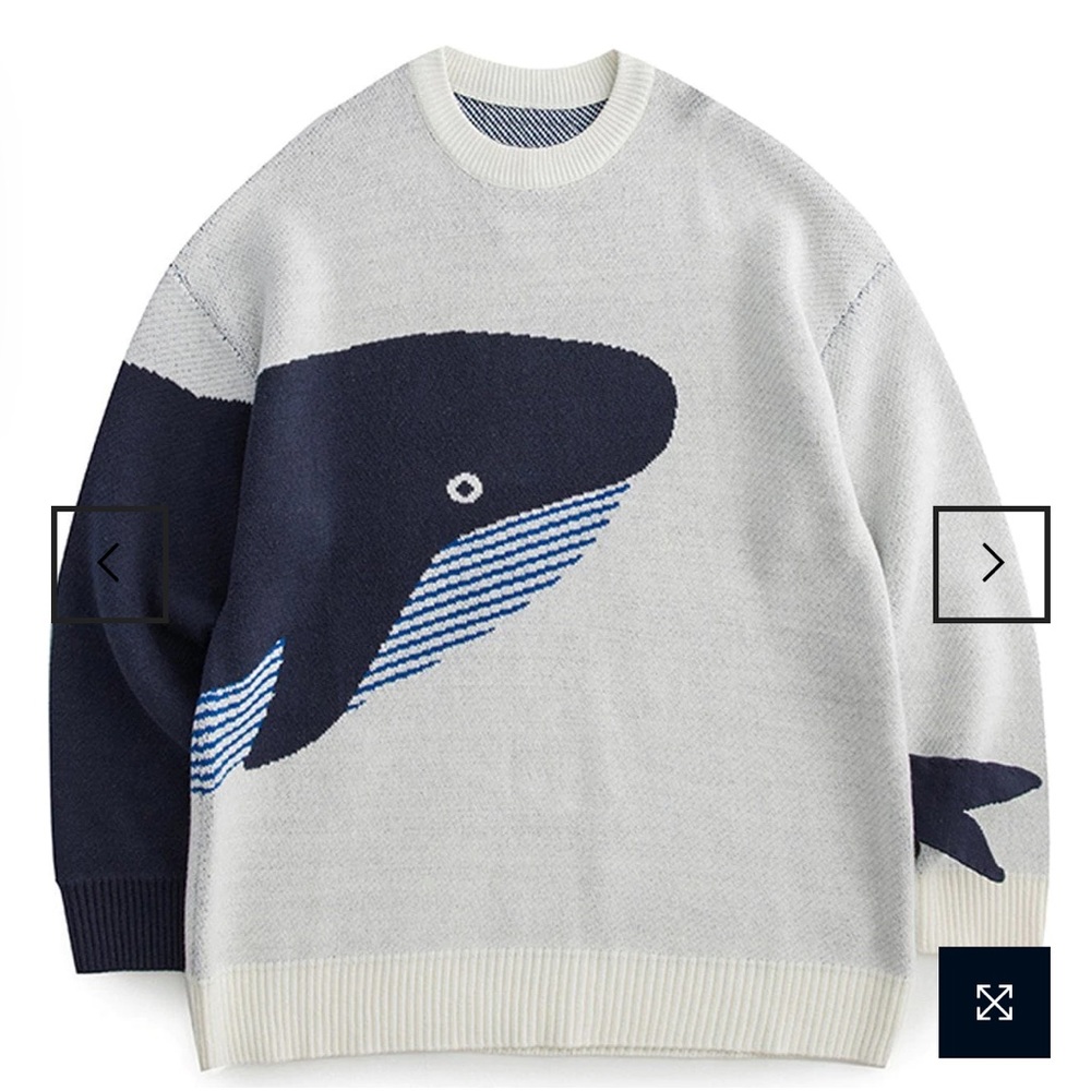 🐳 WHALE SWEATER